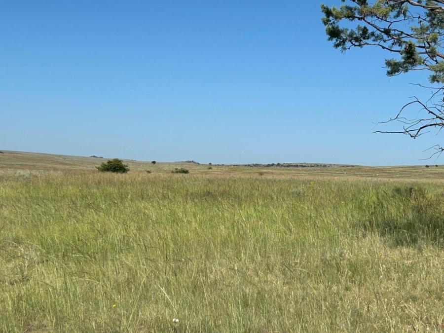 Commercial Property for Sale in Zastron Rural Free State